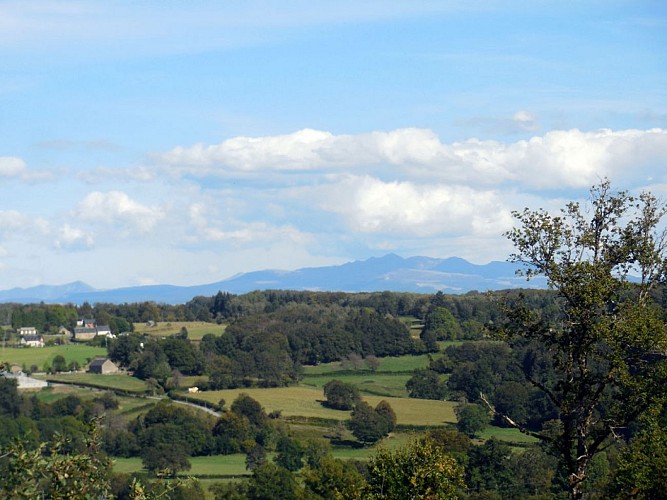 Vue sur le Sancy - Saint-Exupéry les Roches_5