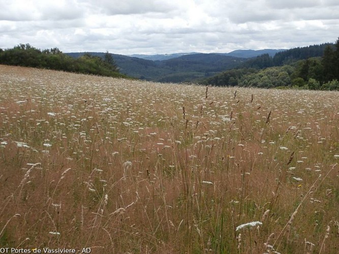 Vue sur les Monts du Limousin