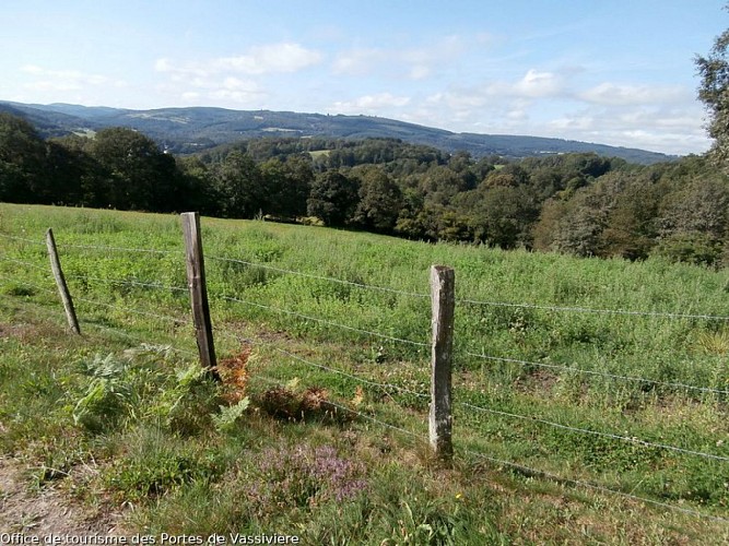 Vue sur les monts autour d'Eymoutiers