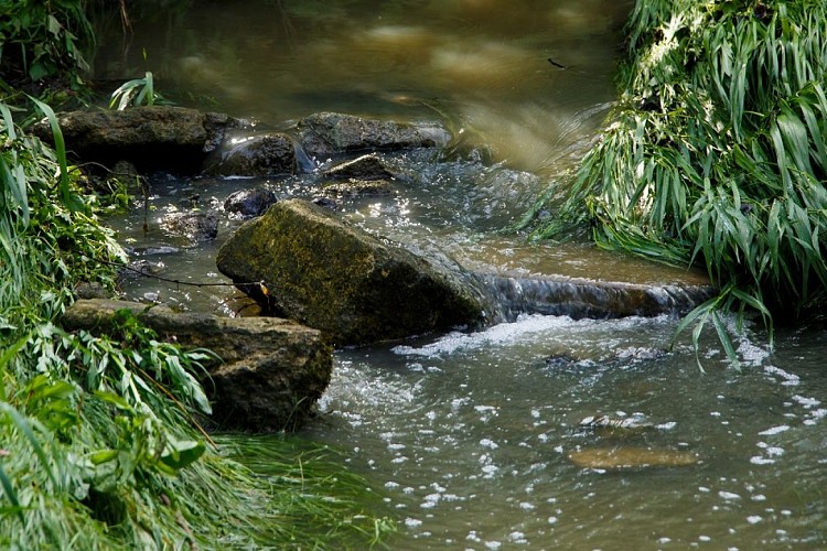 Boucle de Châtillon