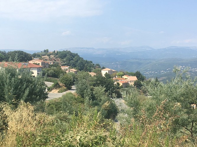 Balade au cœur des Mimosa - Tanneron