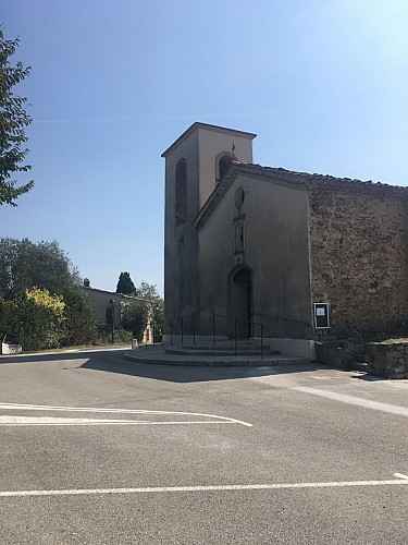Balade au cœur des Mimosa - Tanneron