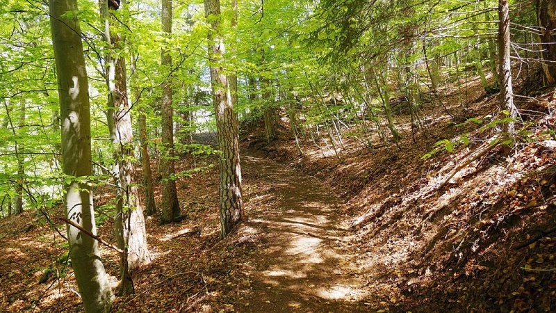 Montmagny (par Notre-Dame-du-Pré)