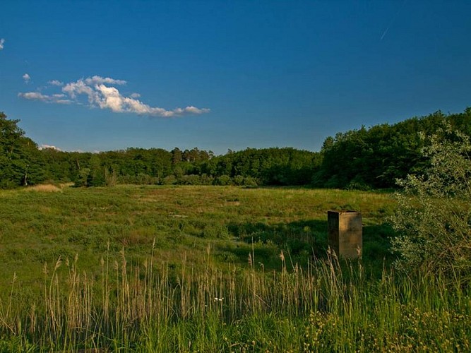 Ancien emplacement de l'étang Heidenkreuz