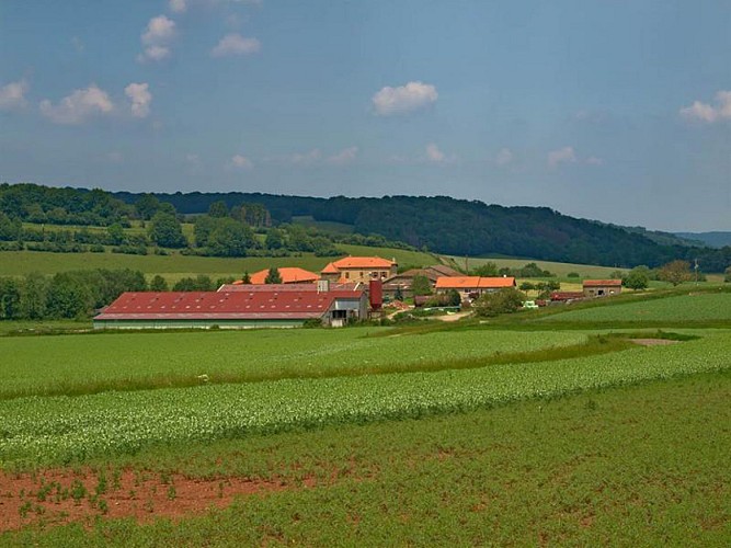Ferme de Neudelange