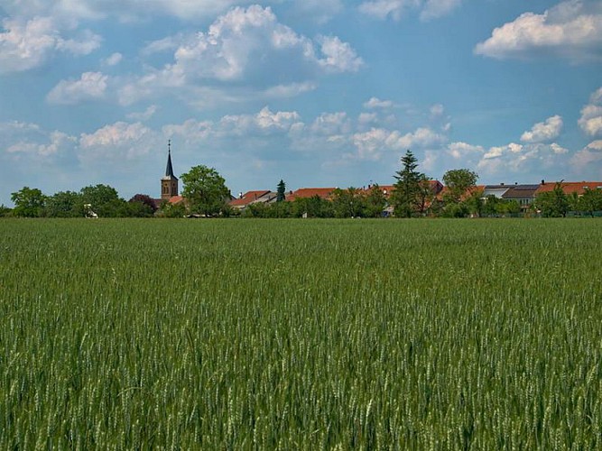 Vue depuis le chemin des morts
