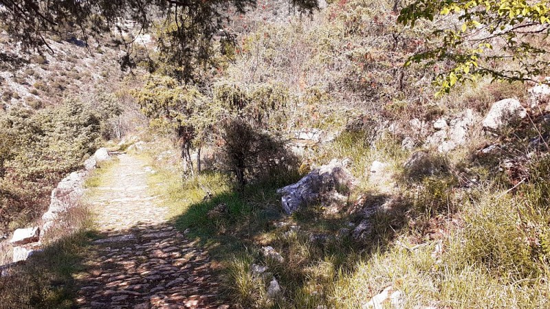 Chemin muletier caladé