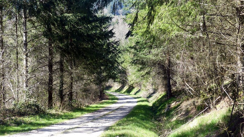 Au charbon ! (variante 2 de 9.5 km)