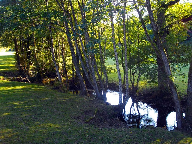 Au charbon ! (variante 2 de 9.5 km)_10