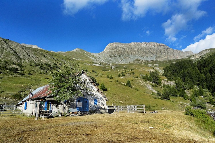 Cabane des mulets