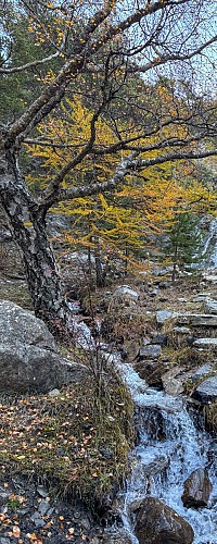 Cabane des mulets_Seyne