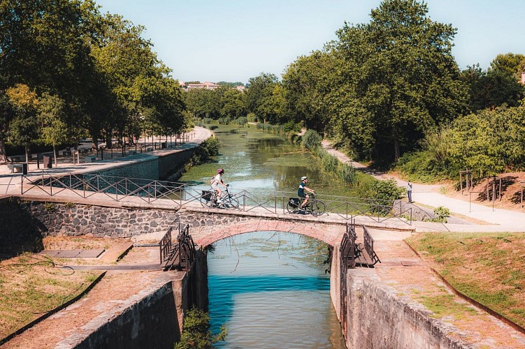 L1070302-canadumidi©-c2m-lezbroz-t-verneuil-adt-herault