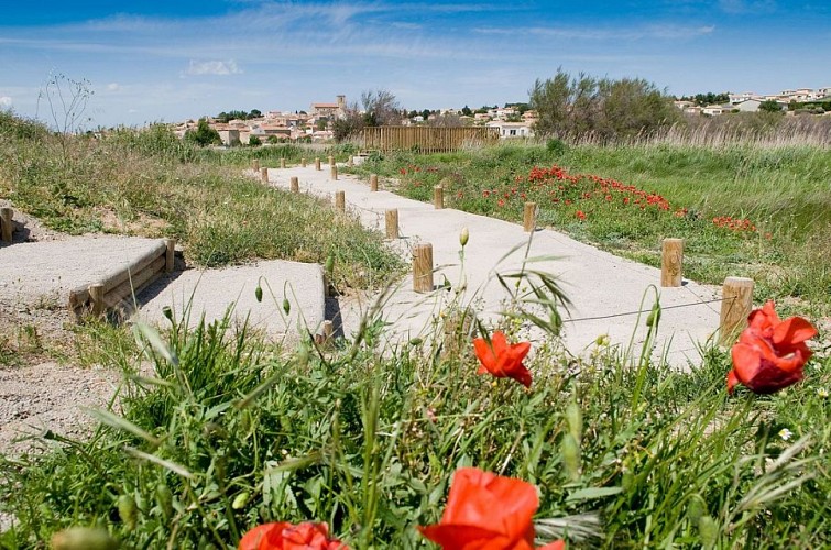 vendres-cmairie-de-vendres-1160x770