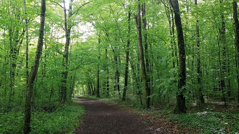 Circuit n°3 - Entre ciel et terre