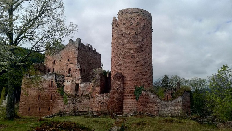 Mont Saint Odile et les Châteaux
