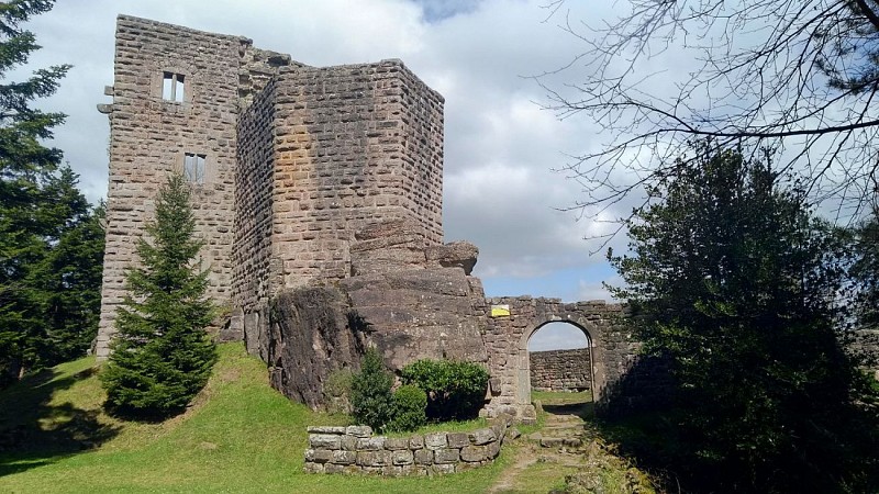 Mont Saint Odile et les Châteaux