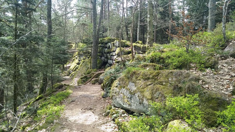 Mont Saint Odile et les Châteaux