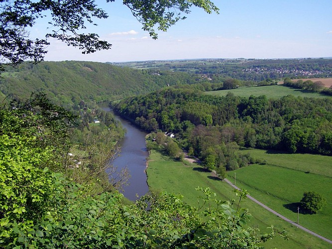 Boucle-de-l-ourthe-greova (6)
