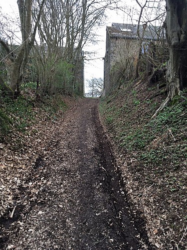 Entre Ferot et grimonster2