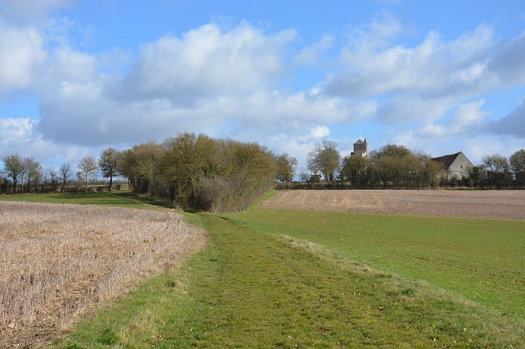 Promenons-nous dans les bois à Saint-Loup