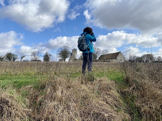 Promenons-nous dans les bois à Saint-Loup