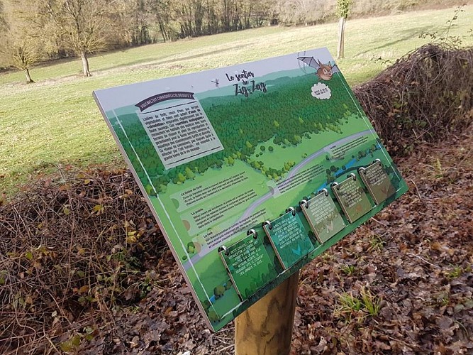 En forêt autour de Cessy