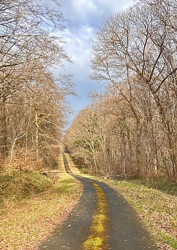 En forêt autour de Cessy