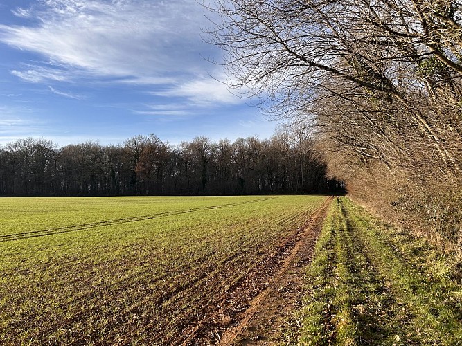 Randonnée à Perroy