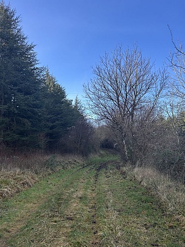 Randonnée à Perroy