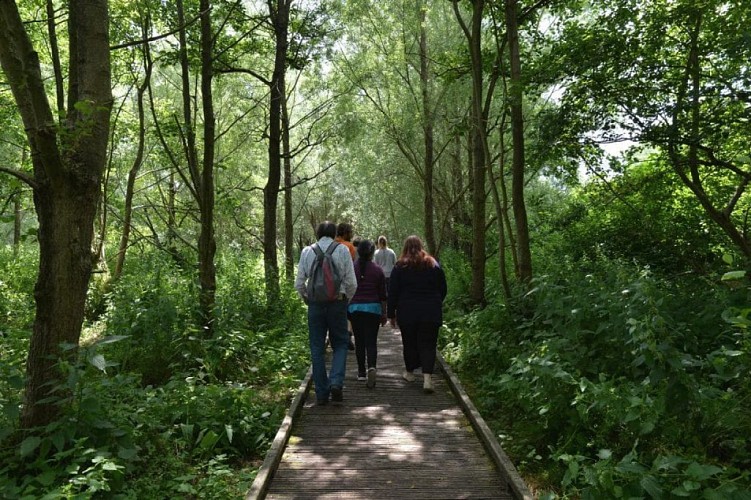 Balade au Marais de Guînes