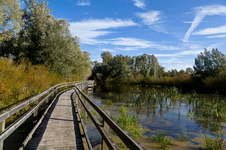 Balade au Marais de Guînes
