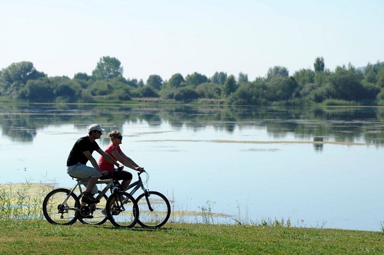 Vélo autour du lac de Madine