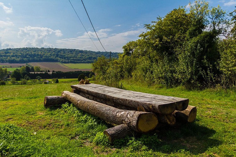 VTT sur le vent des forêts
