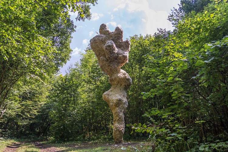 VTT sur le vent des forêts