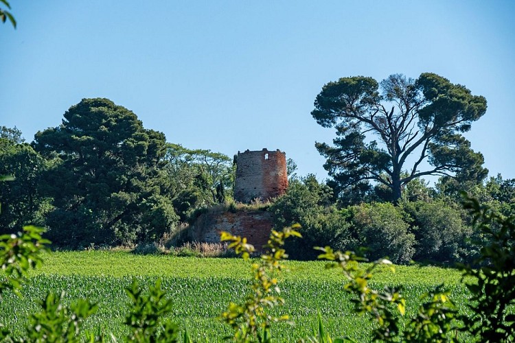 Montlaur-patrimoine