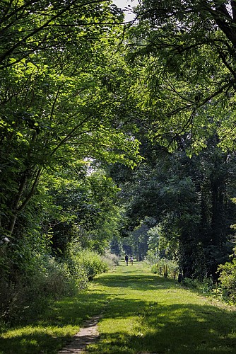 Belberaud-Chemin Becasse