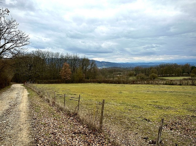 LE FRECHET : SENTIER NATURE ET PATRIMOINE