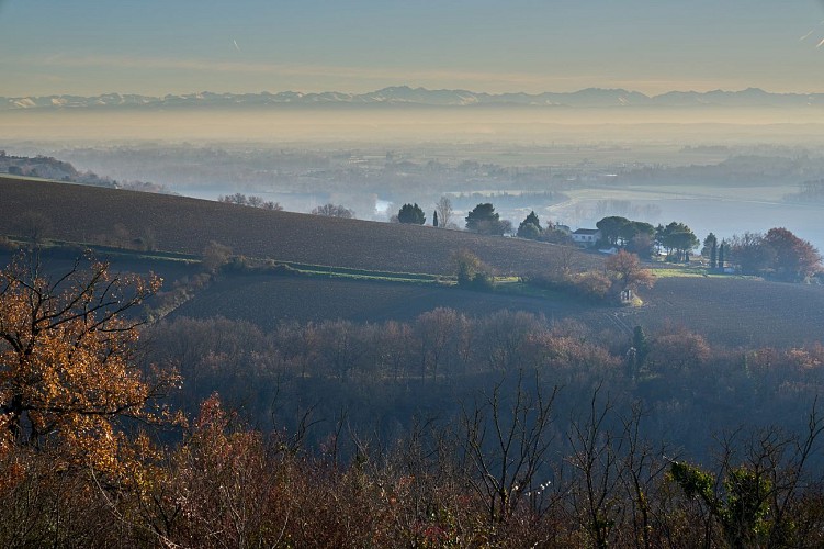 Paysages Pyrénées campagne