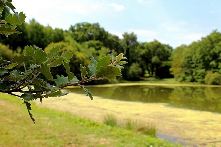 lac_menville-retouches