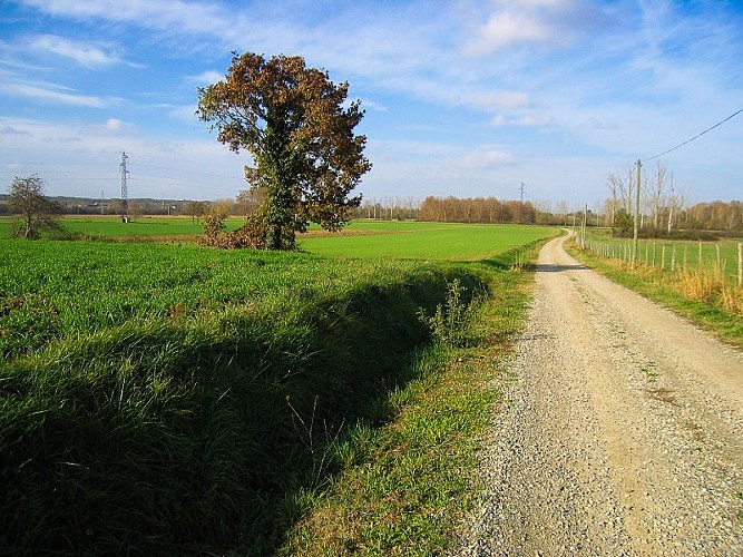 Grenade-Rando-Credit-Office-de-Tourisme-des-Hauts-Tolosans
