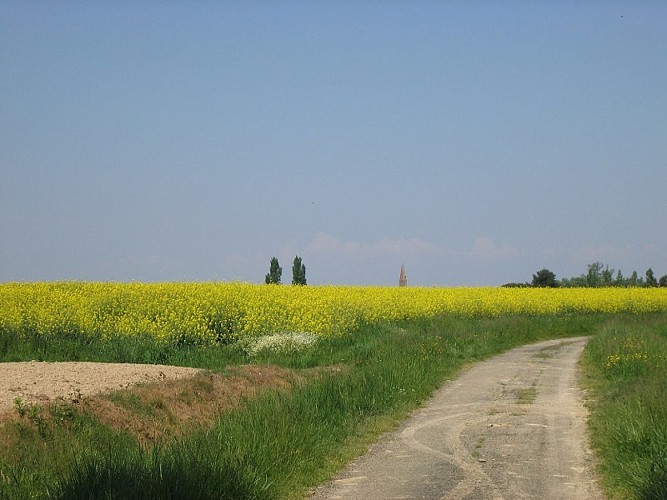 BOUCLE DE SAINT-CEZERT