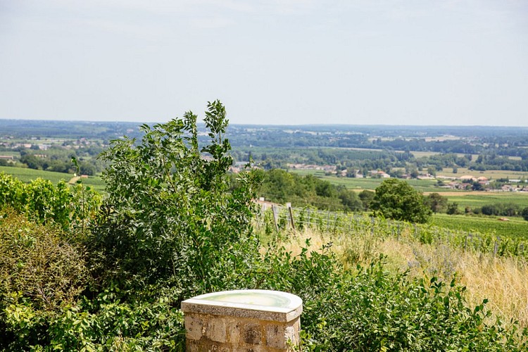 table-orientation-sud-gironde-agence-les-conteurs-6