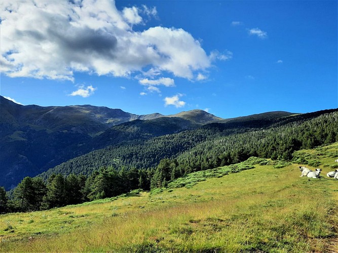 Vue sur le Col de Finestrelles