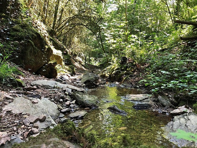 AU FIL DE L'EVRE