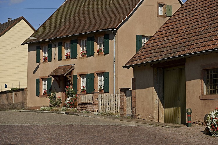 Randonnée Saint Florent un grand destin