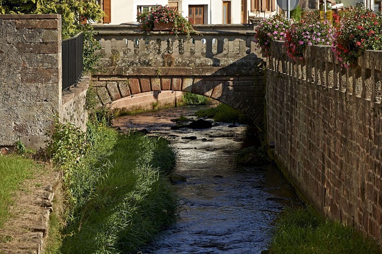 Randonnée Saint Florent un grand destin