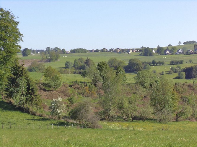 MTBastogne_Bertogne_Nature_SIBertogne (20)