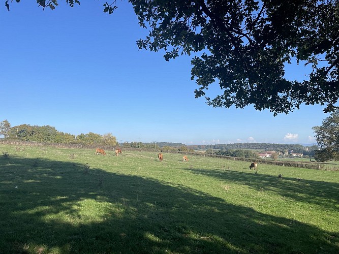 Autour de champs des bois