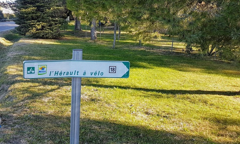 boucle-18-004-saint-gely-du-fesc-jalonnement