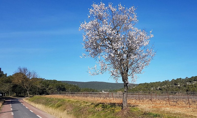 boucle-18-014-avant-les-matelles